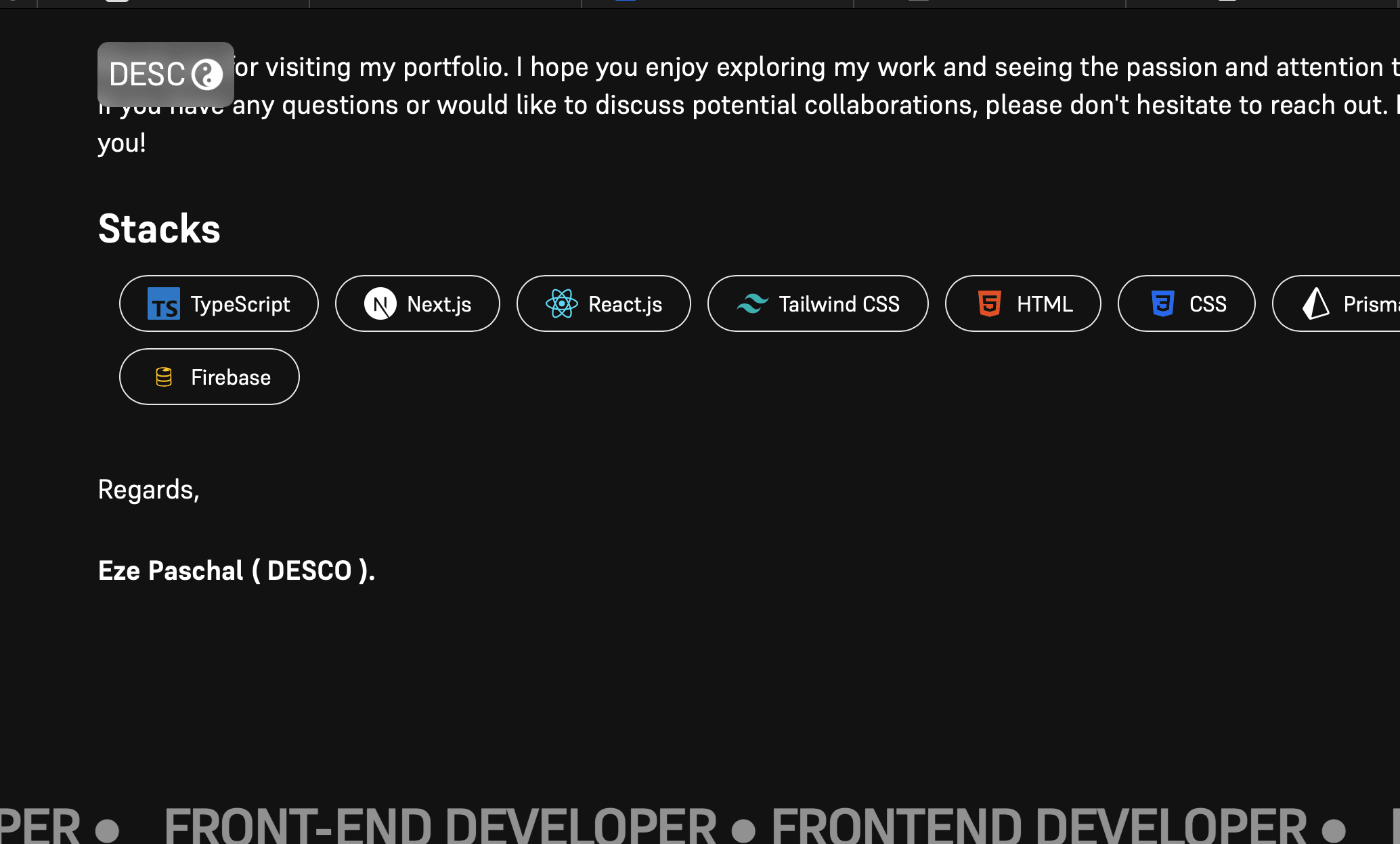 Developer Portfolio project gallery image 1